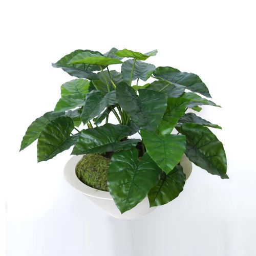 Planta semi-artificiala Ila, Taro Arrangement Green - 80 cm